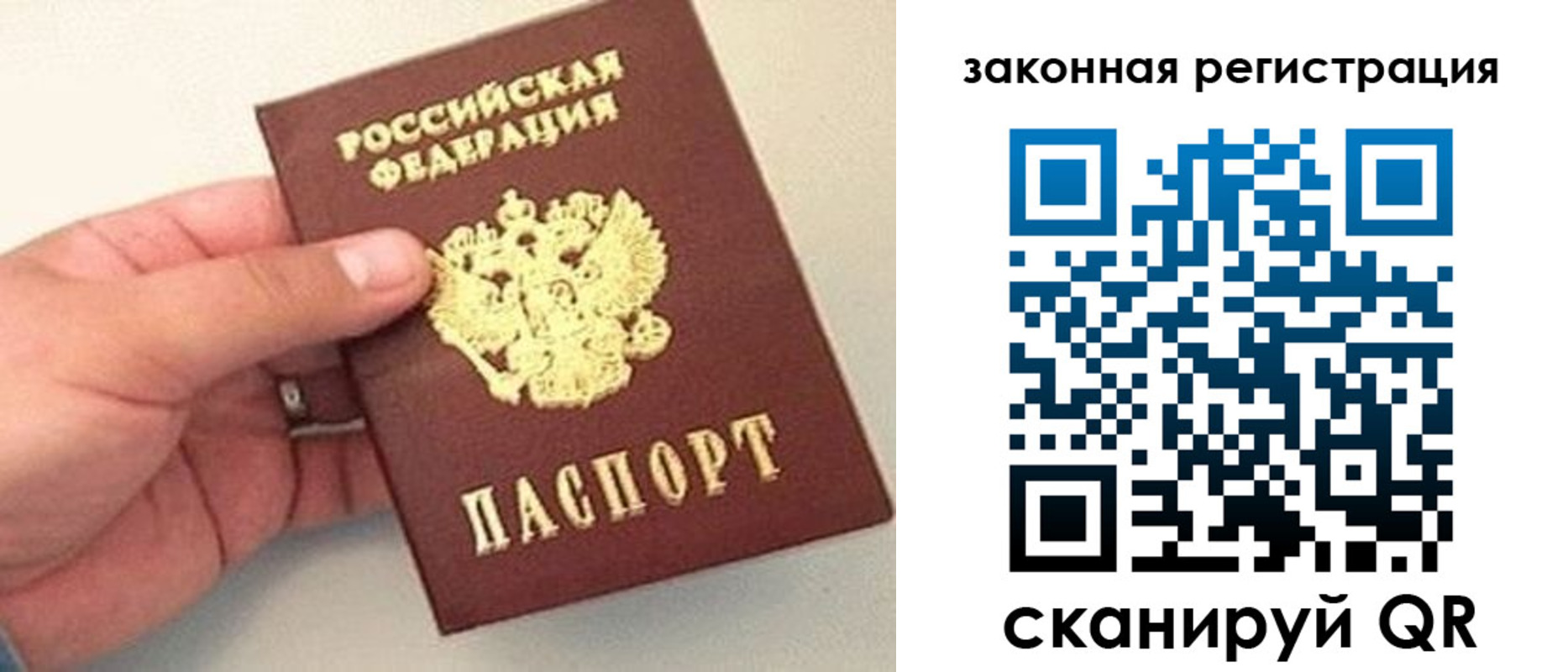 прописка для школы в Новороссийске